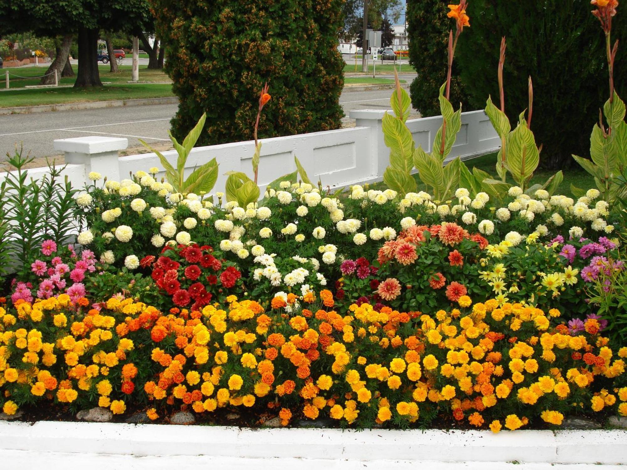 Riverside Motel Penticton Eksteriør billede